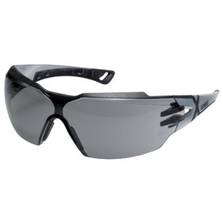 Bügelbrille uvex pheos cx2 grau 23% sv exc. 9198014