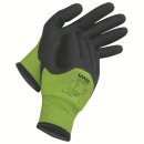 Schutzhandschuh uvex unilite thermo plus cut c 60591